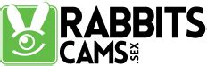 www rabbitscams com|RabbitsCams .